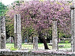 Aristotle Travel